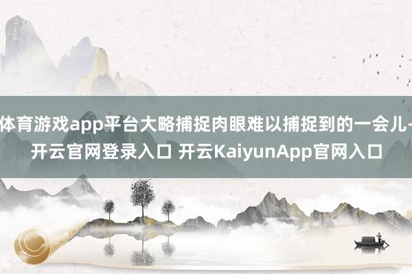 体育游戏app平台大略捕捉肉眼难以捕捉到的一会儿-开云官网登录入口 开云KaiyunApp官网入口