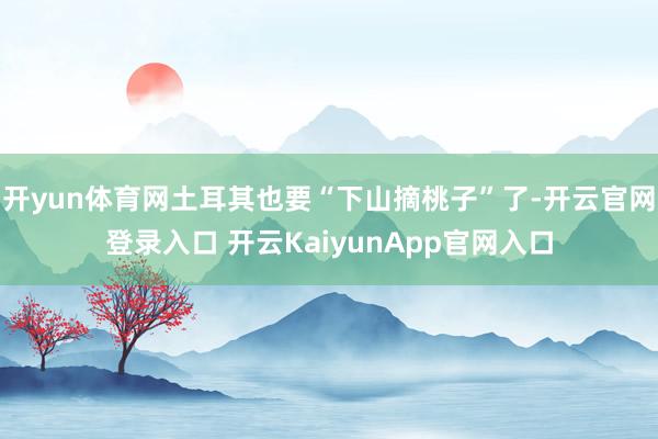 开yun体育网土耳其也要“下山摘桃子”了-开云官网登录入口 开云KaiyunApp官网入口