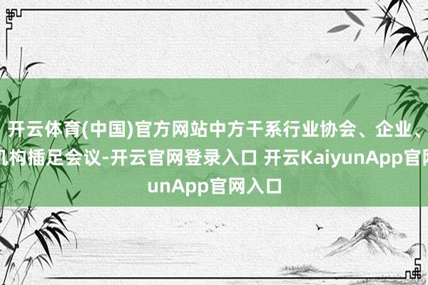 开云体育(中国)官方网站中方干系行业协会、企业、金融机构插足会议-开云官网登录入口 开云KaiyunApp官网入口